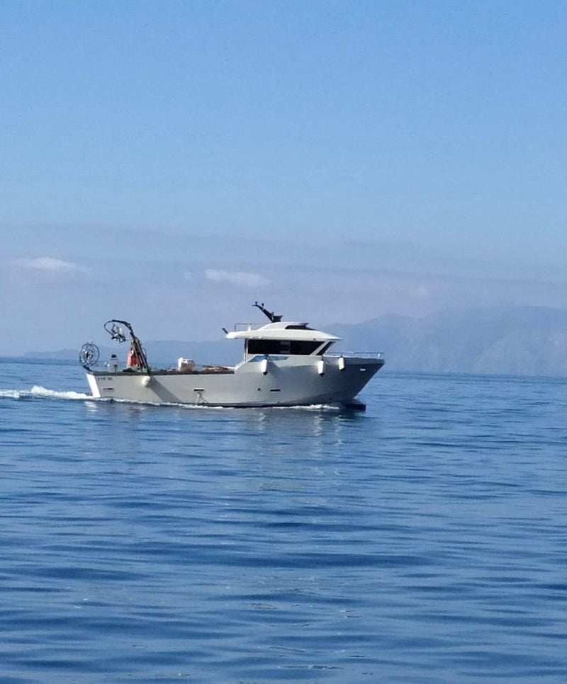 VIBA 120 in navigazione